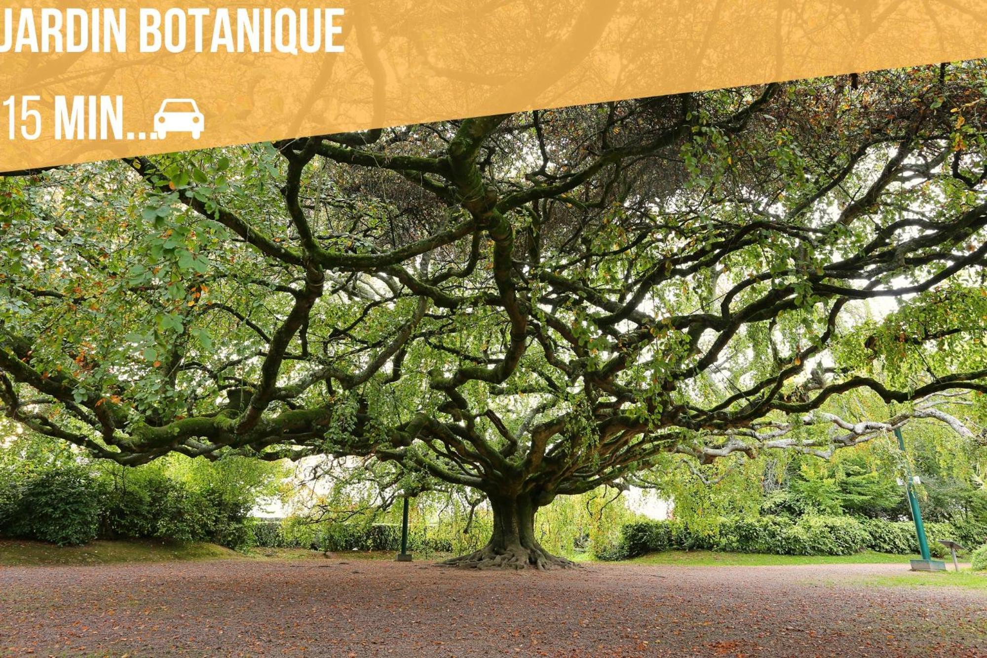 Saint-Loup-Hors La Fontaine Cottage - Proximite Historique - Bayeux מראה חיצוני תמונה